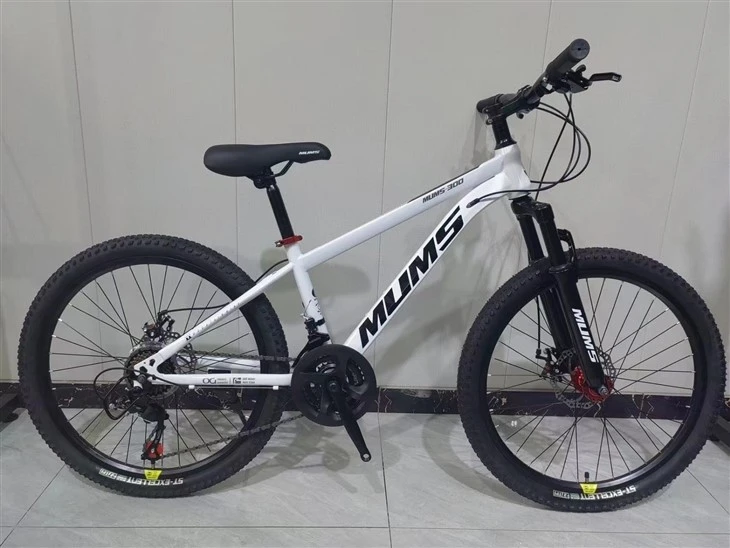 Hard Tail Mountain Bike