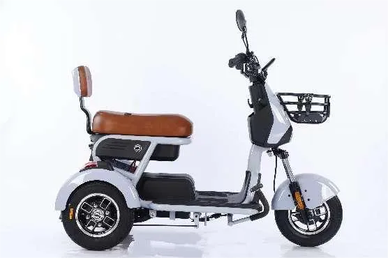 Električni bicikli s tri kotača